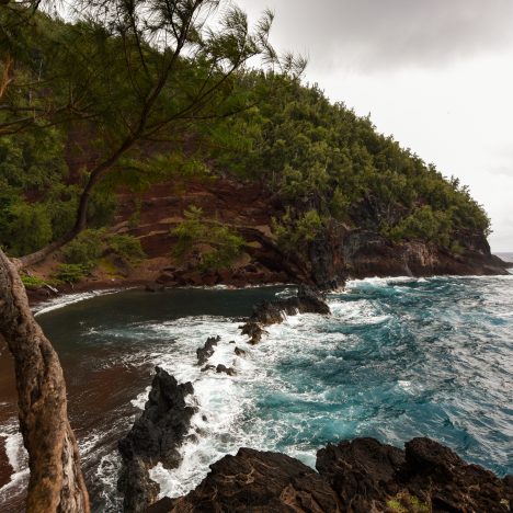 2017 | Madeira