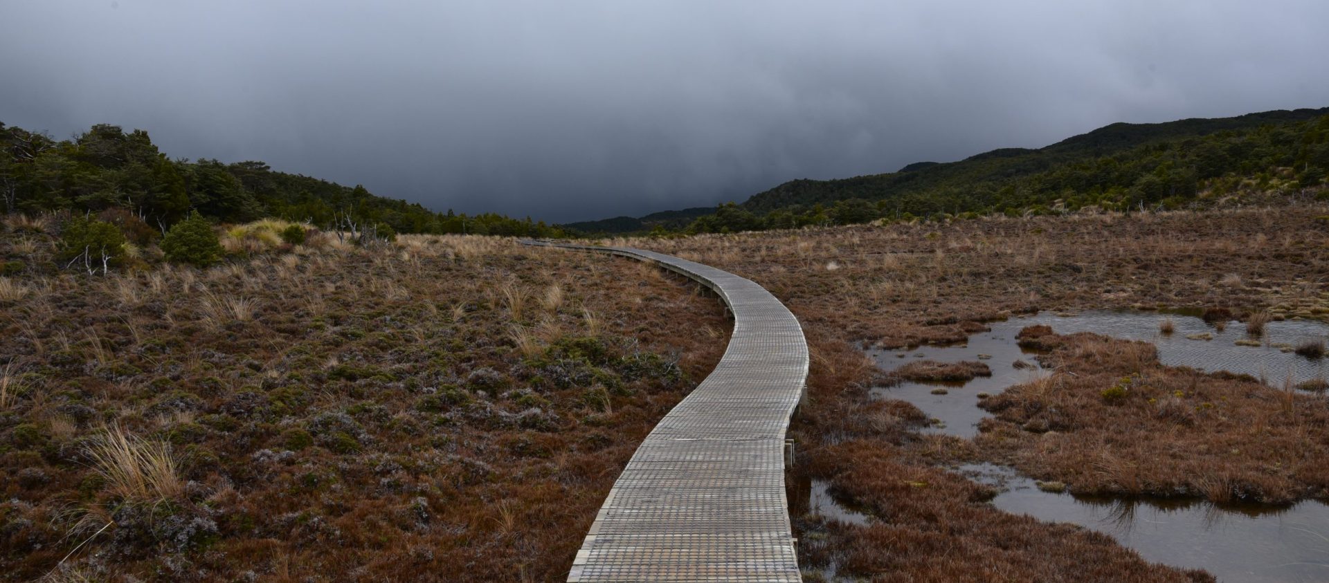 Foto: Weg von den Waitonga Falls in Neuseeland.