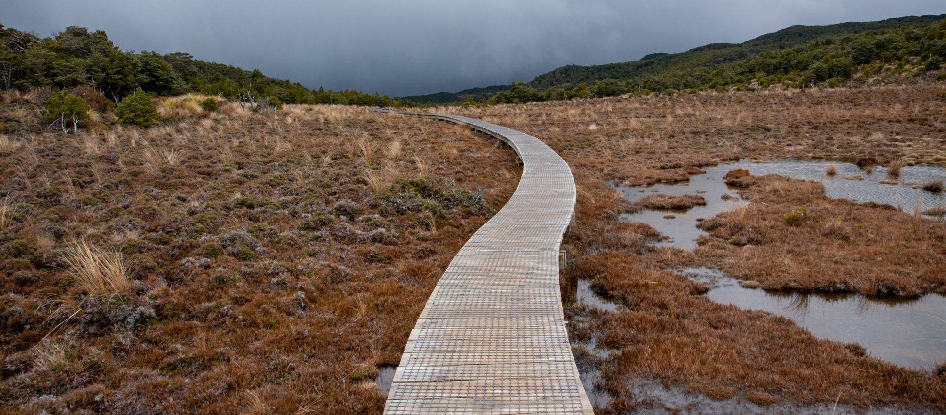 Foto: Weg von den Waitonga Falls in Neuseeland.