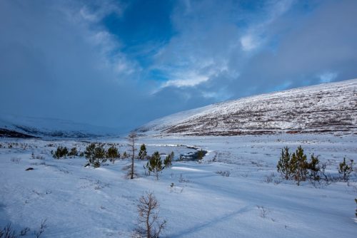 2016 Island Kristin Sporbeck DSC 0704