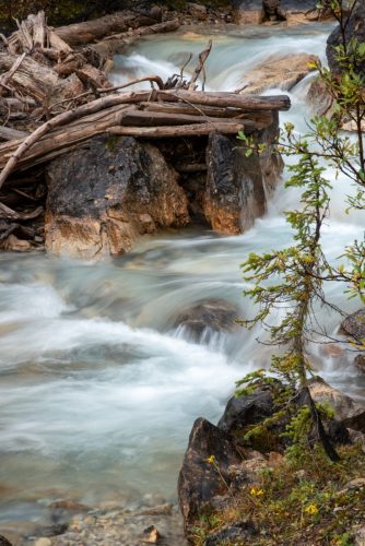 2016 Kanada Kristin Sporbeck DSC 7286