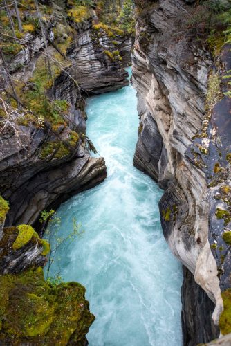 2016 Kanada Kristin Sporbeck DSC 8737