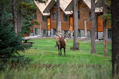 2016 Kanada Kristin Sporbeck DSC 9217