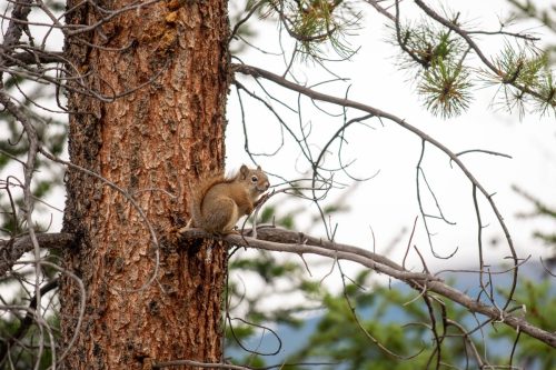 2016 Kanada Kristin Sporbeck DSC 9527