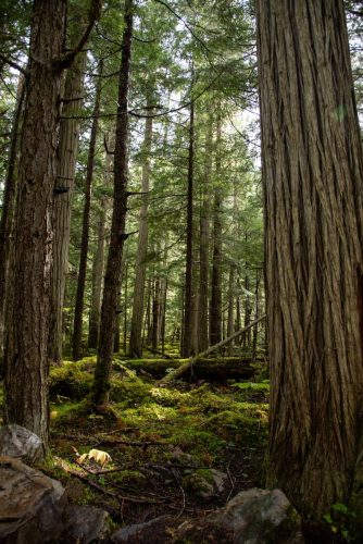 2016 Kanada Kristin Sporbeck DSC 9653