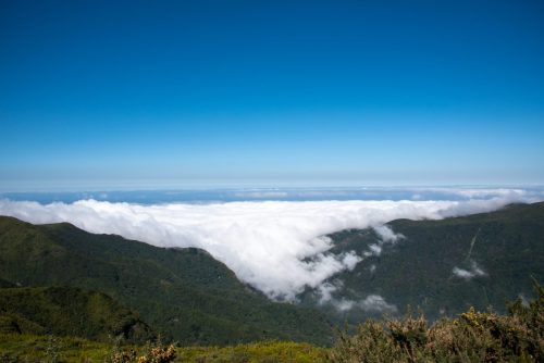 2017 Madeira Kristin Sporbeck DSC 4009