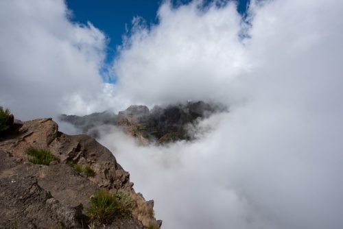 2017 Madeira Kristin Sporbeck DSC 5582