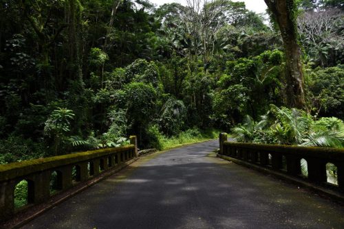 2018 USA Hawaii Big Island Kristin Sporbeck DSC 9682 small
