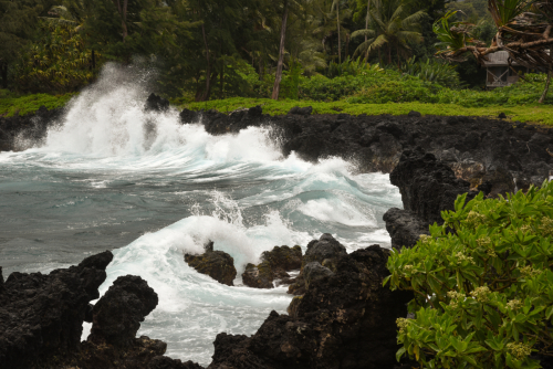 2018 USA Hawaii Maui Kristin Sporbeck DSC 0852 small