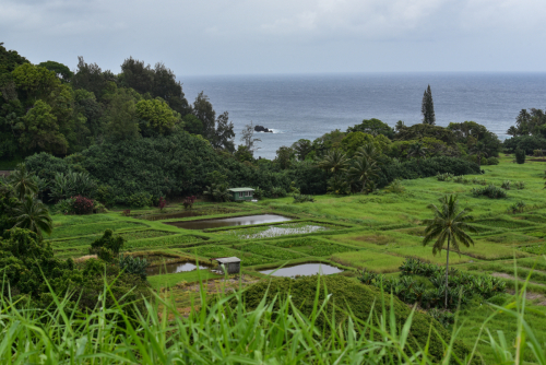 2018 USA Hawaii Maui Kristin Sporbeck DSC 0969 small