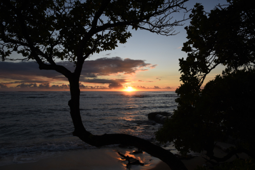 2019 USA Hawaii Oahu Kristin Sporbeck DSC 2127 small