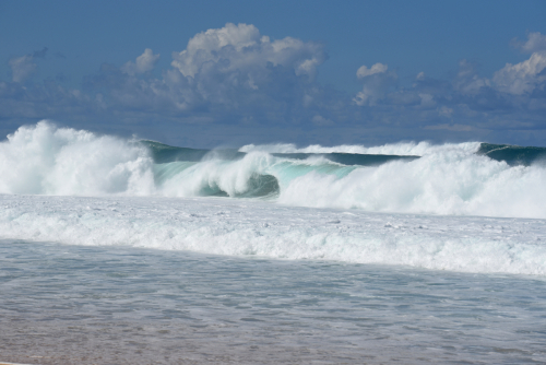 2019 USA Hawaii Oahu Kristin Sporbeck DSC 2370 small