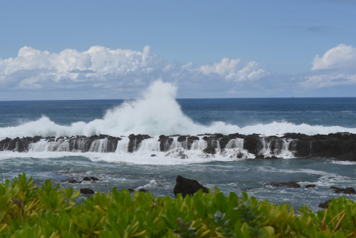 2019 USA Hawaii Oahu Kristin Sporbeck DSC 2429 small