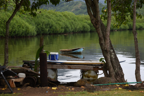 2019 USA Hawaii Oahu Kristin Sporbeck DSC 2666 small