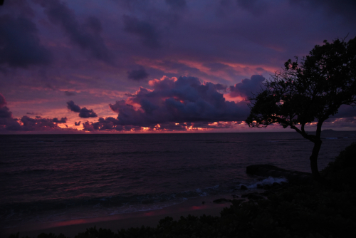 2019 USA Hawaii Oahu Kristin Sporbeck DSC 2903 small