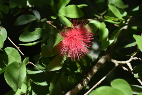 2019 USA Hawaii Oahu Kristin Sporbeck DSC 3635 small