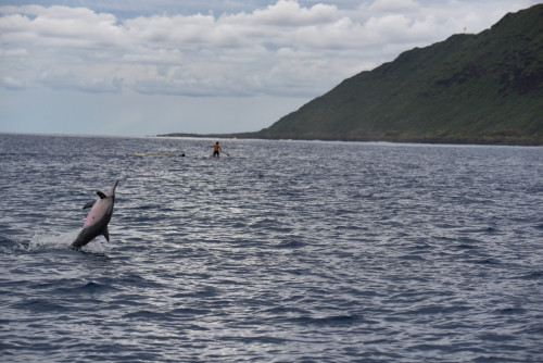 2019 USA Hawaii Oahu Kristin Sporbeck DSC 3798 small
