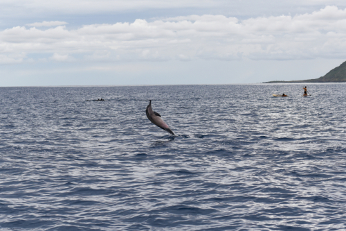2019 USA Hawaii Oahu Kristin Sporbeck DSC 3801 small