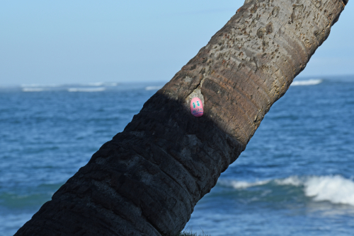 2019 USA Hawaii Oahu Kristin Sporbeck DSC 4004 small