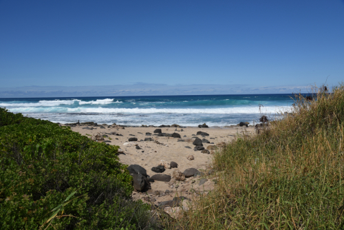 2019 USA Hawaii Oahu Kristin Sporbeck DSC 4107 small