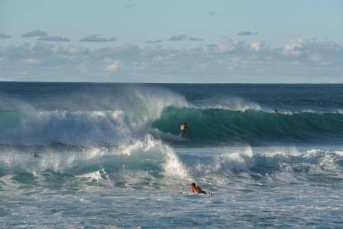 2019 USA Hawaii Oahu Kristin Sporbeck DSC 4421 small
