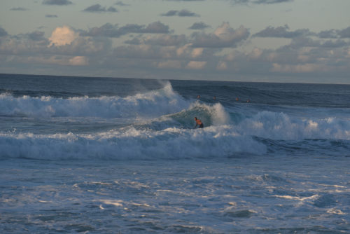 2019 USA Hawaii Oahu Kristin Sporbeck DSC 4521 small