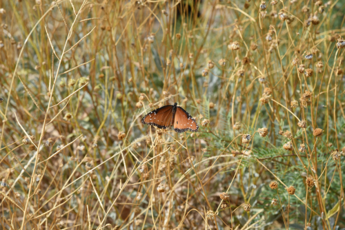 2019 USA Nationalparktour Kristin Sporbeck DSC 4969 small