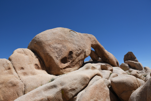 2019 USA Nationalparktour Kristin Sporbeck DSC 5116 small
