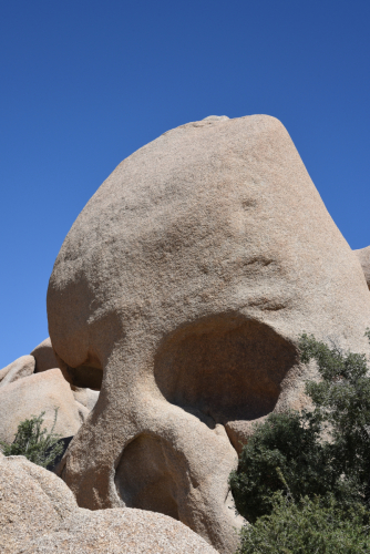 2019 USA Nationalparktour Kristin Sporbeck DSC 5124 small
