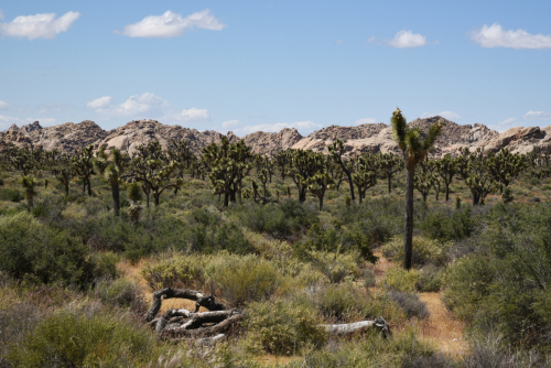 2019 USA Nationalparktour Kristin Sporbeck DSC 5131 small