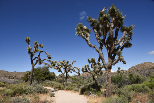 2019 USA Nationalparktour Kristin Sporbeck DSC 5157 small
