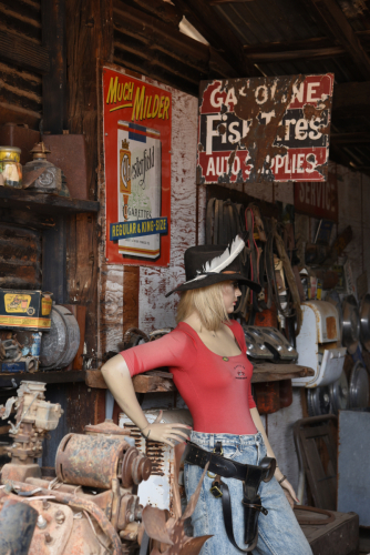 2019 USA Nationalparktour Kristin Sporbeck DSC 5299 small
