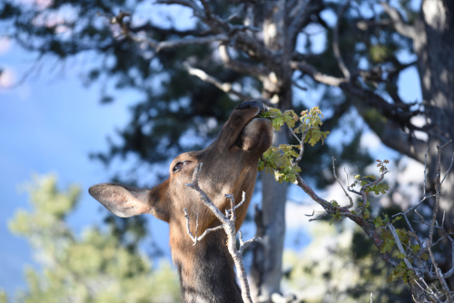 2019 USA Nationalparktour Kristin Sporbeck DSC 5448 small