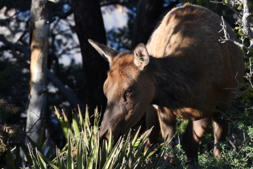 2019 USA Nationalparktour Kristin Sporbeck DSC 5499 small