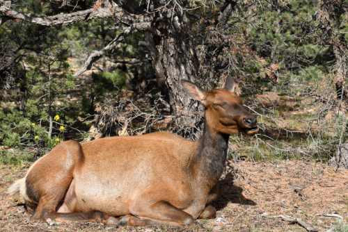 2019 USA Nationalparktour Kristin Sporbeck DSC 5582 small