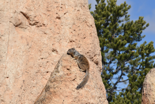 2019 USA Nationalparktour Kristin Sporbeck DSC 5587 small