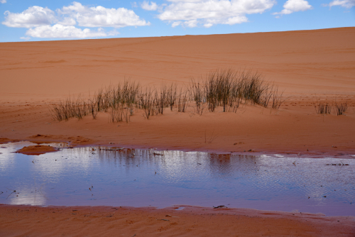 2019 USA Nationalparktour Kristin Sporbeck DSC 6828 small