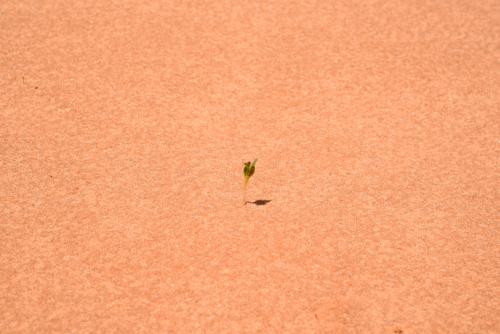 2019 USA Nationalparktour Kristin Sporbeck DSC 6830 small