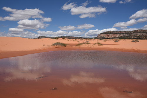 2019 USA Nationalparktour Kristin Sporbeck DSC 6841 small