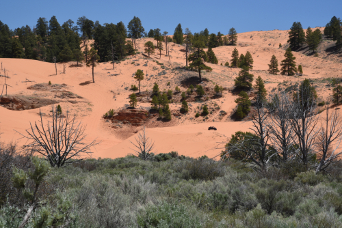 2019 USA Nationalparktour Kristin Sporbeck DSC 6864 small