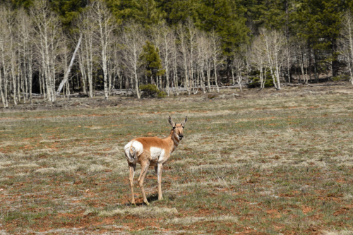2019 USA Nationalparktour Kristin Sporbeck DSC 6884 small