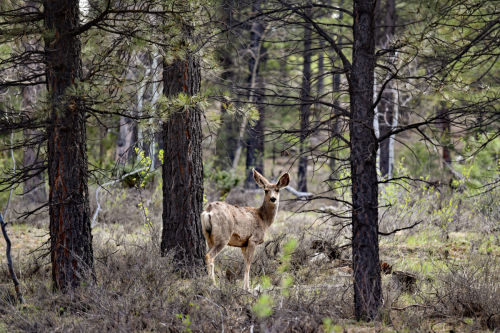 2019 USA Nationalparktour Kristin Sporbeck DSC 6917 small