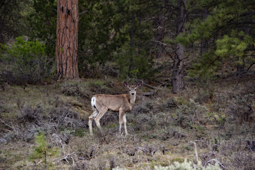 2019 USA Nationalparktour Kristin Sporbeck DSC 6959 small