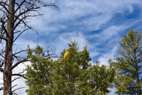 2019 USA Nationalparktour Kristin Sporbeck DSC 7265 small