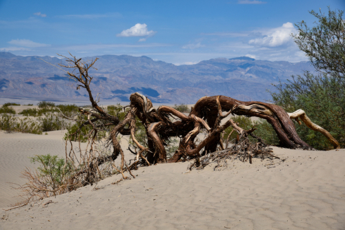 2019 USA Nationalparktour Kristin Sporbeck DSC 8507 small