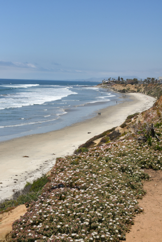 2019 USA San Diego Kristin Sporbeck DSC 3650 small