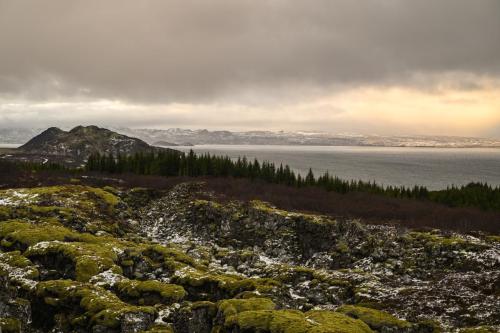 2024 Island Kristin Sporbeck 2024 11 27 DSC 9179 small