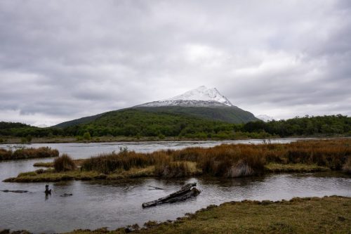 2025 Patagonien 02 Ushuaia Kristin Sporbeck DSC 8168