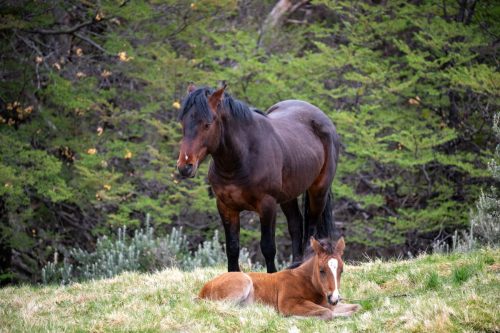 2025 Patagonien 02 Ushuaia Kristin Sporbeck DSC 8189