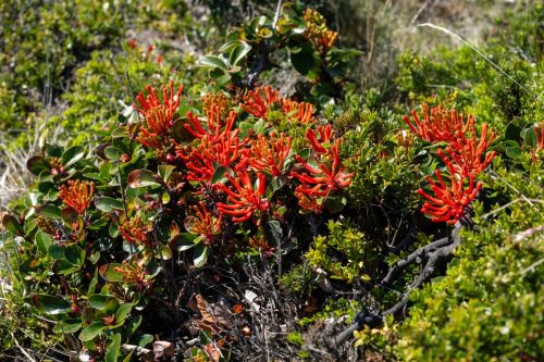 2025 Patagonien 02 Ushuaia Kristin Sporbeck DSC 8774